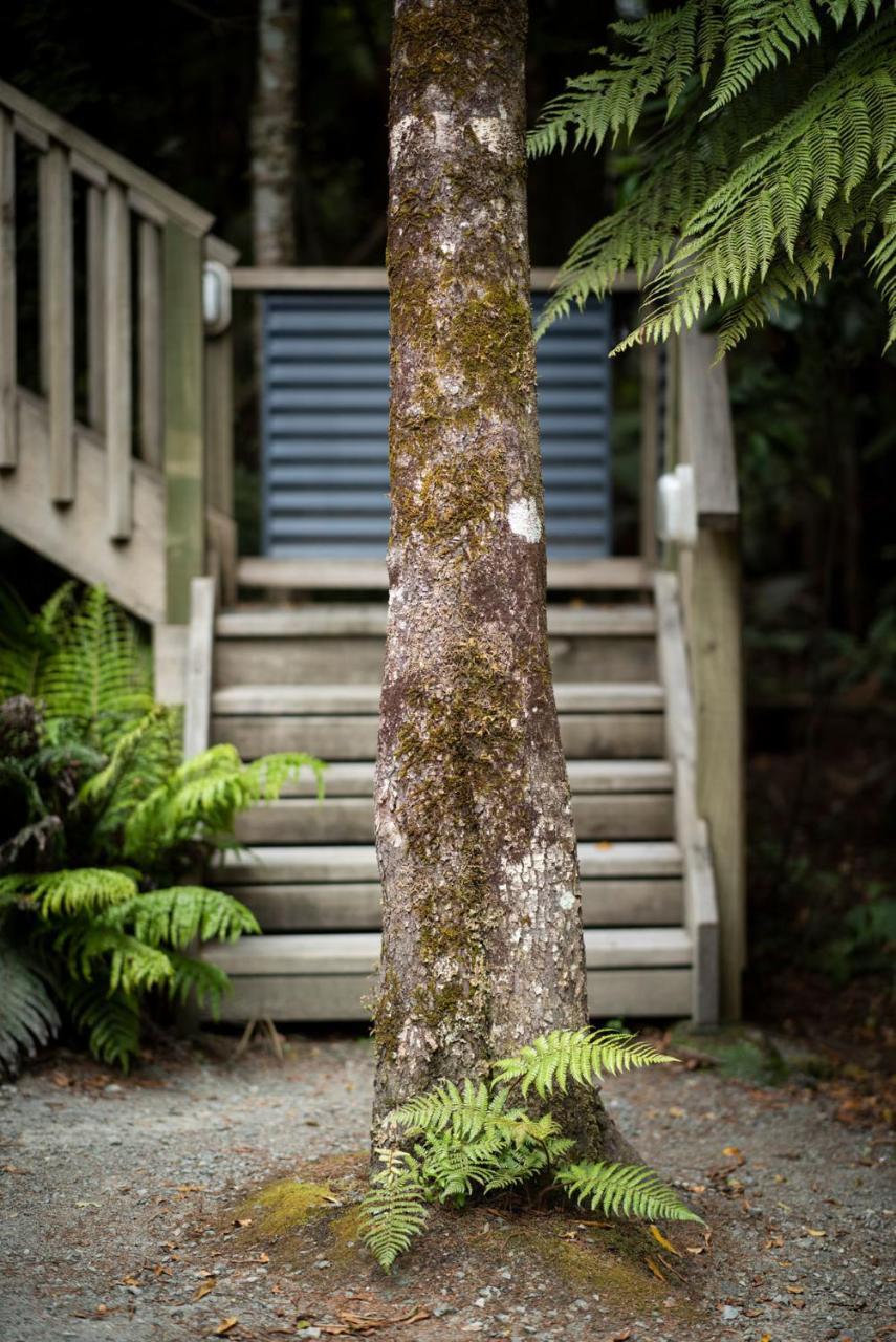 Punakaiki Treehouse Limited Eksteriør bilde